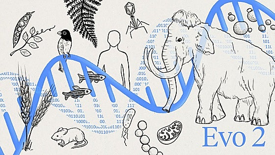 Evo 2, el 'ChatGPT' de la genética, ya escribe el código de la vida desde cero