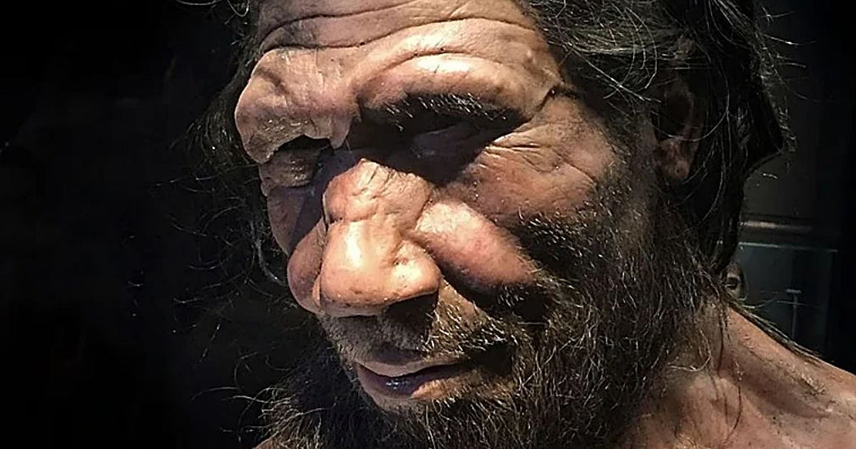 Los neandertales ya estaban condenados antes de cruzarse con nosotros