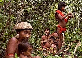 El ADN de los indígenas sudamericanos reescribe la historia de cómo llegamos al Nuevo Mundo