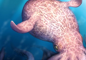 El 'kraken' existió en el Cretácico: pulpos de 19 metros que devoraban dinosaurios marinos