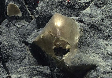 Resuelto el misterio del 'huevo alienígena' de Alaska