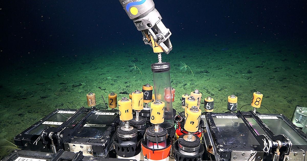 Investigadores españoles descubren un 'ecosistema extraterrestre' bajo el océano de Chile