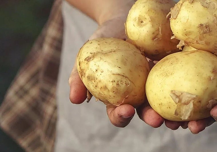 Cómo una dieta a base de patata cambió la genética de los indígenas de Perú