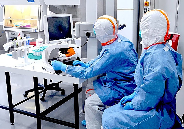 Los detectives del hantavirus en Sudáfrica que dieron la voz de alarma: «Fue como buscar una aguja en un pajar»