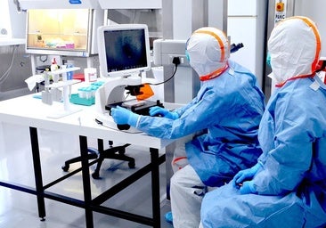 Los detectives del hantavirus en Sudáfrica que dieron la voz de alarma: «Fue como buscar una aguja en un pajar»