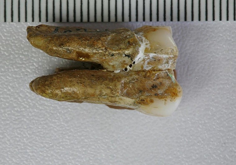 Revelada la identidad de la misteriosa 'cuarta especie' humana que aparece en nuestro ADN