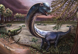 Descubren al 'último titán', el colosal dinosaurio de 27 metros que dominó el sudeste asiático