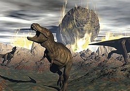 El asteroide que mató a los dinosaurios hizo que los hongos heredaran la Tierra