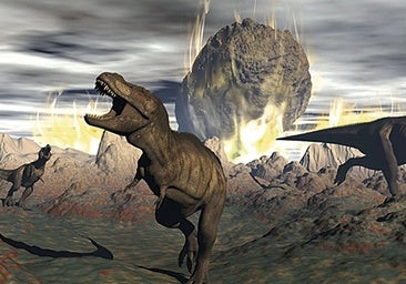 El asteroide que mató a los dinosaurios hizo que los hongos heredaran la Tierra