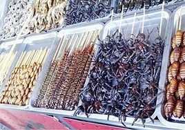 Comíamos insectos, sí, pero muchos menos que los neandertales