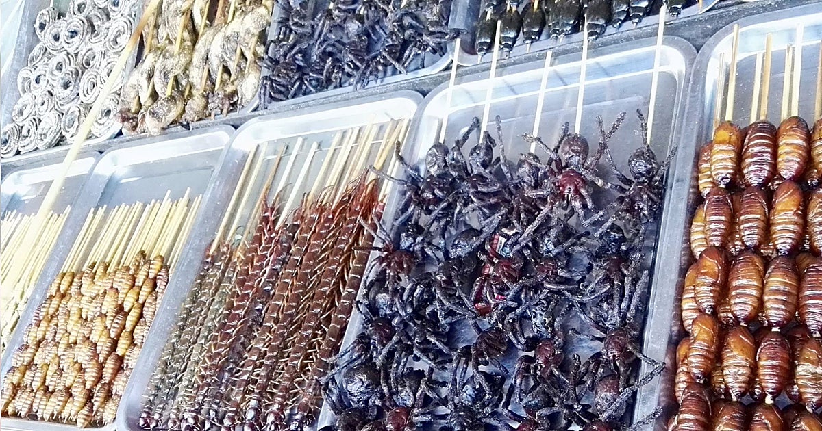 Comíamos insectos, sí, pero muchos menos que los neandertales