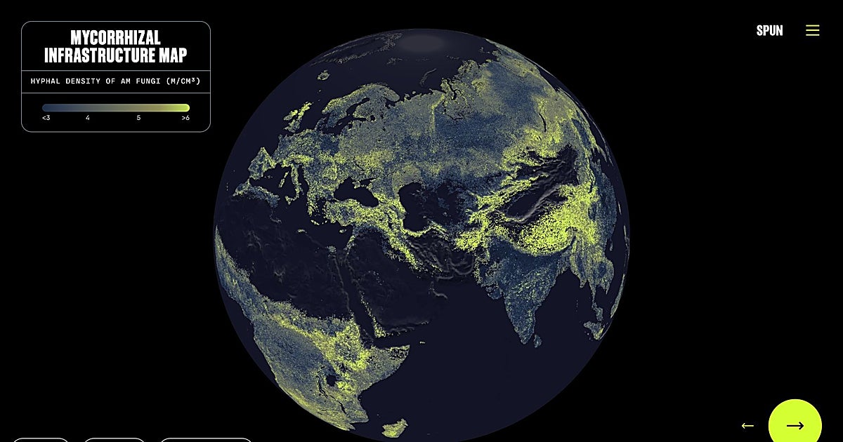 Primer mapa de la mayor infraestructura viva del mundo: la r