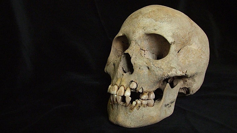 La peste negra ya era letal y aniquilaba a familias enteras hace 5.500 años