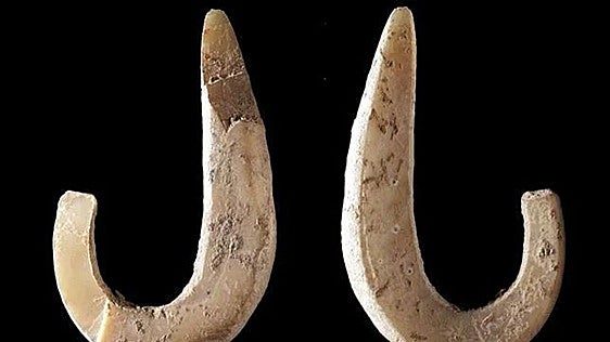De la espina de pescado al gancho de acero: 40.000 años de evolución del anzuelo