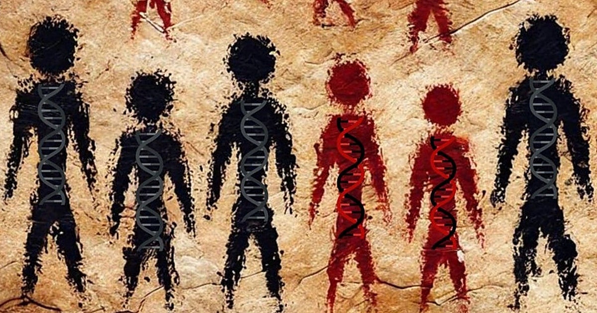 No fue culpa de la endogamia: crece el enigma de la desaparición de los neandertales