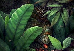 El hallazgo de una 'Pompeya botánica' cambia lo que sabíamos sobre las plantas con flores