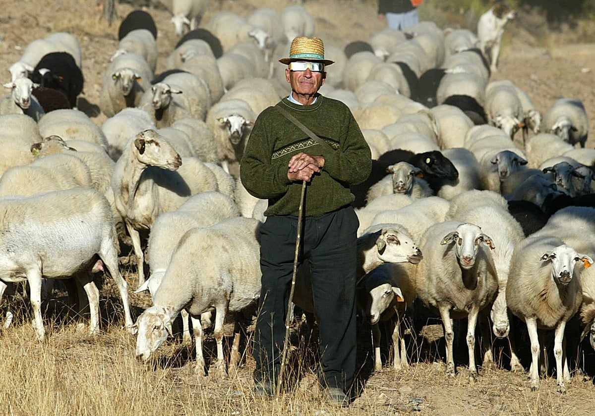 Cientos de grabaciones registrarán la reacción de los animales durante el eclipse de agosto