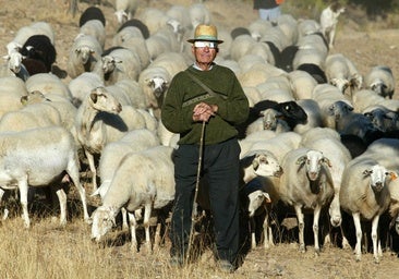 Cientos de grabaciones registrarán la reacción de los animales durante el eclipse de agosto