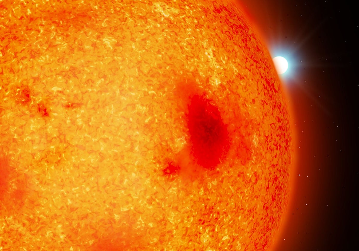 Descubren otras cuatro estrellas muertas ocultas muy cerca de la Tierra