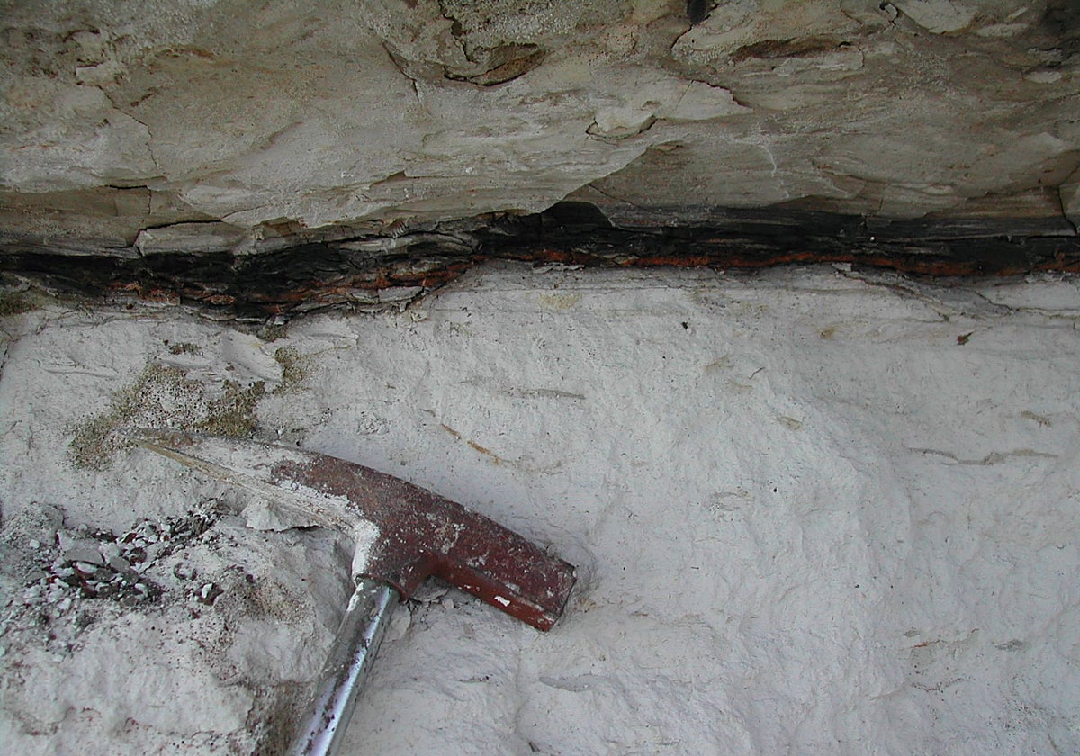El meteorito que acabó con los dinosaurios era uno de los más raros del Sistema Solar