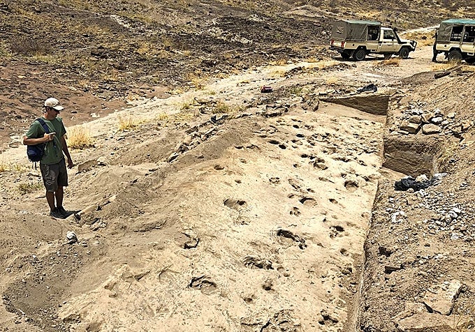 Vista de la excavación en la que huellas humanas se mezclan con otras de hipopótamos y antílopes.
