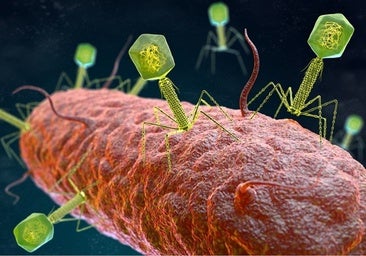 La IA da el gran salto: de diseñar genes a crear organismos artificiales completos desde cero