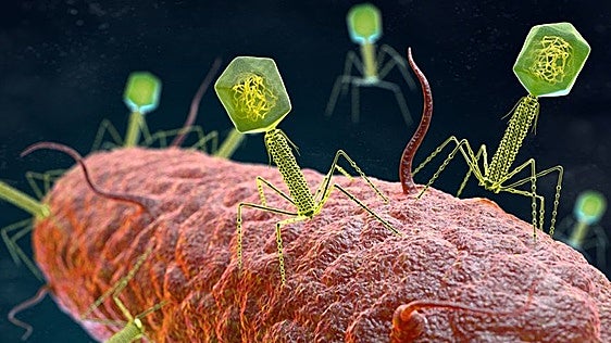 La IA da un nuevo salto y crea organismos artificiales completos desde cero
