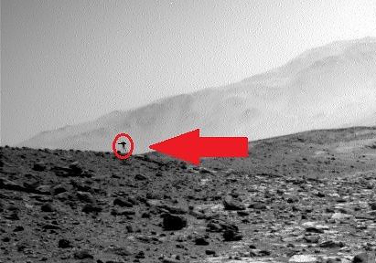 ¿Qué es la extraña 'medusa' fotografiada en Marte por el rover Curiosity de la NASA?