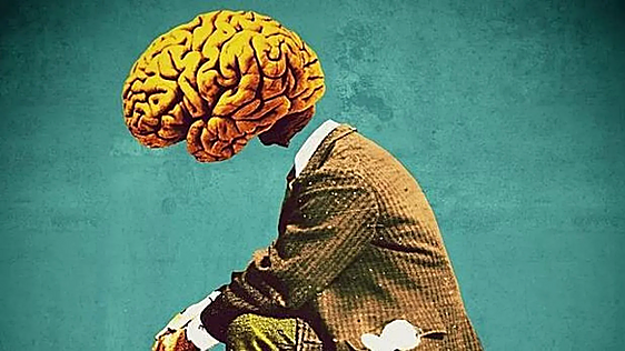 El atlas más completo de la corteza prefrontal muestra que el cerebro madura a los 24 años