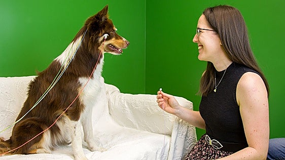 Hablar a los perros moldea su cerebro