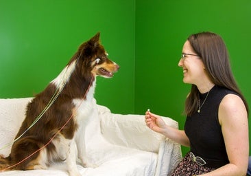 Hablar a los perros moldea su cerebro