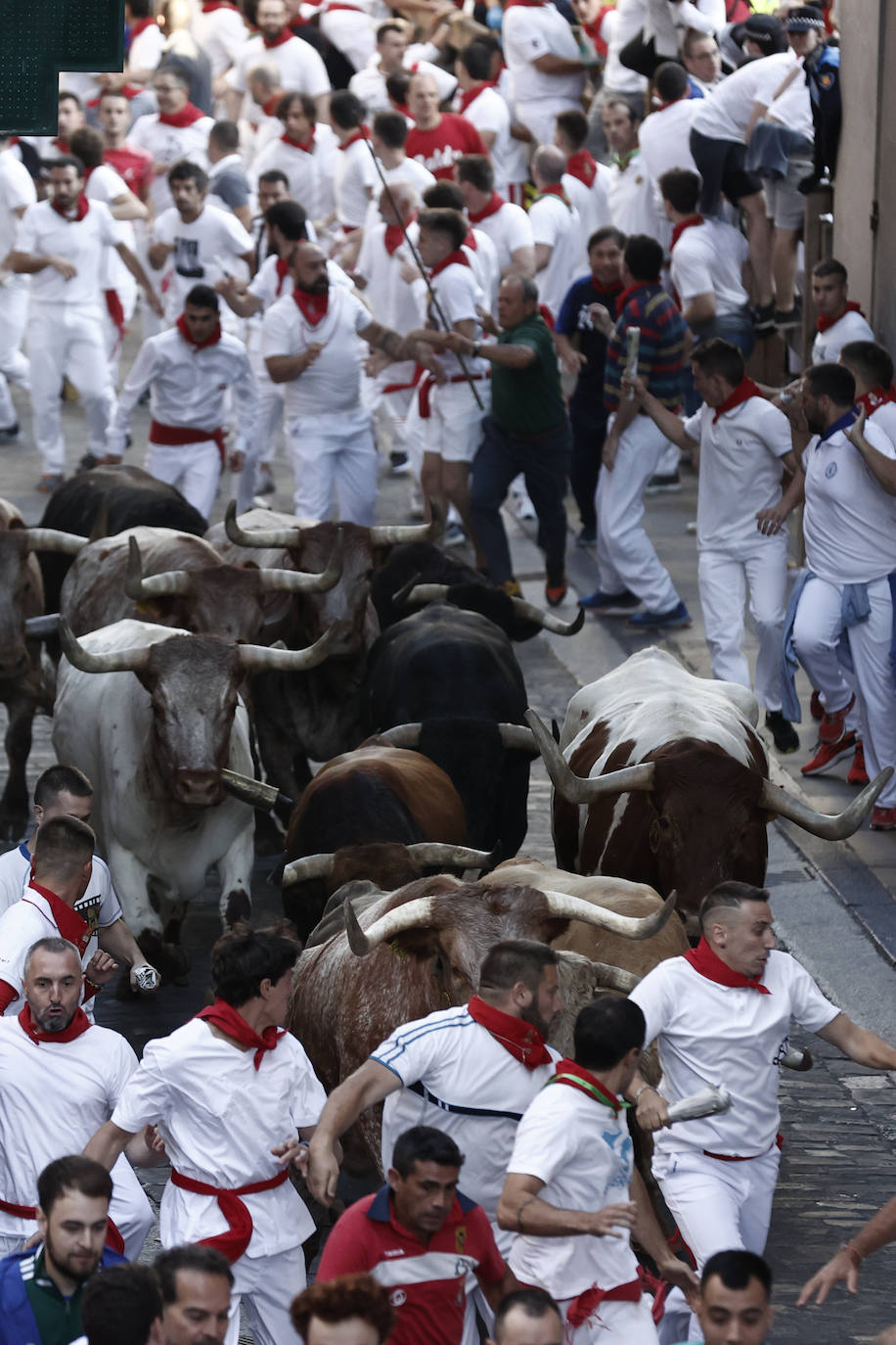 Los toros de la ganadería gaditana Núñez del Cuvillo a su paso por el Ayuntamiento durante el primer encierro de los Sanfermines