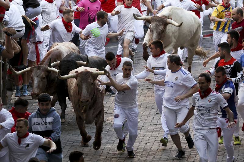 Los toros de la ganadería gaditana Núñez del Cuvillo en el tramo del callejón, antes de entrar en la Plaza de Toros,