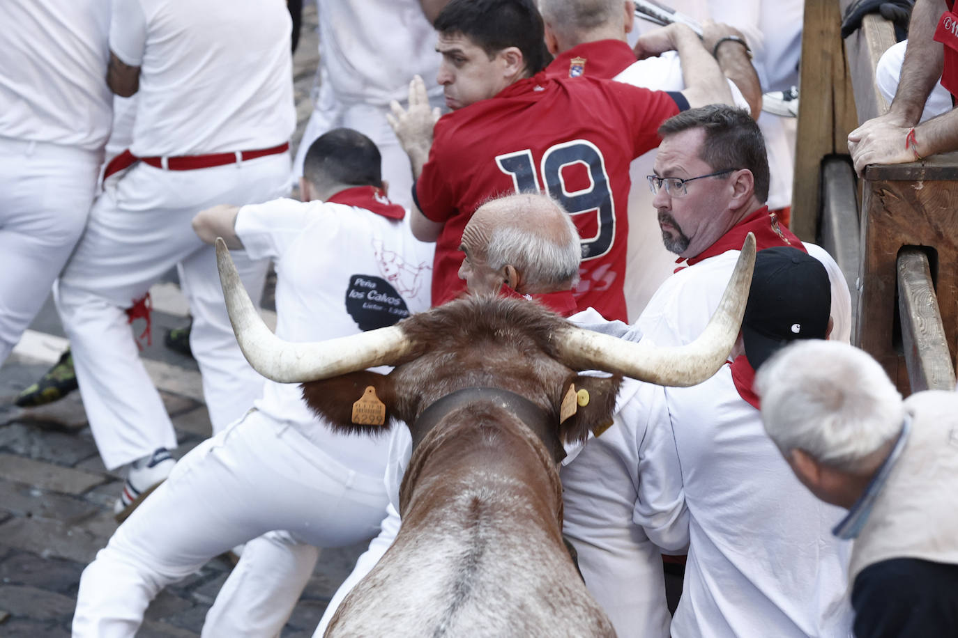 Varios mozos ante uno de los mansos de la ganadería navarra de Macua, que este año han guiado a la manada, a su paso por el tramo del Ayuntamiento