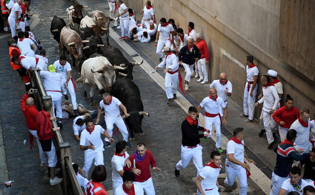 Un toro rezagado alarga el segundo encierro de los Sanfermines