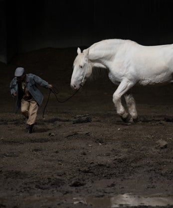 Imagen secundaria 2 - El espectáculo cuenta con Golda Schultz, Marianne Crebassa y el Coro y la Orquesta de París