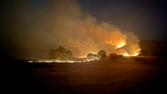 El fuego, rondando en la dehesa salmantina de Aldeanueva