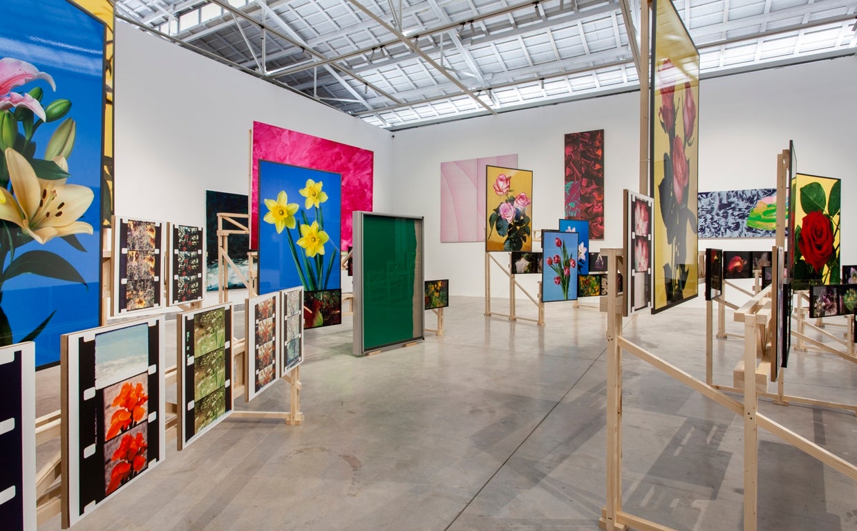 Detalle del montaje de una de las salas de la muestra 'La Tierra: una retrospectiva'