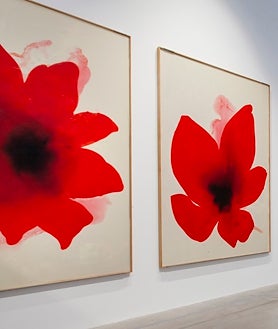 Imagen secundaria 2 - En las imágenes, detalles del montaje en las diferentes salas de la muestra 'La Tierra: una retrospectiva'