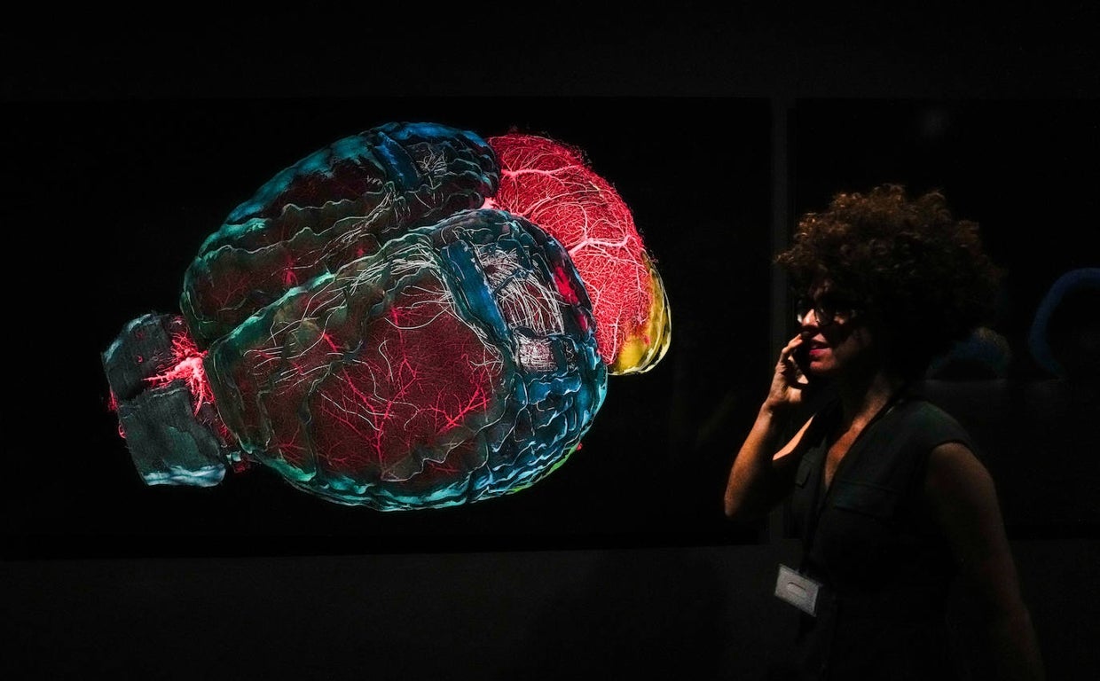 Una mujer visita martes la muestra 'Cerebro(s)' en el CCCB