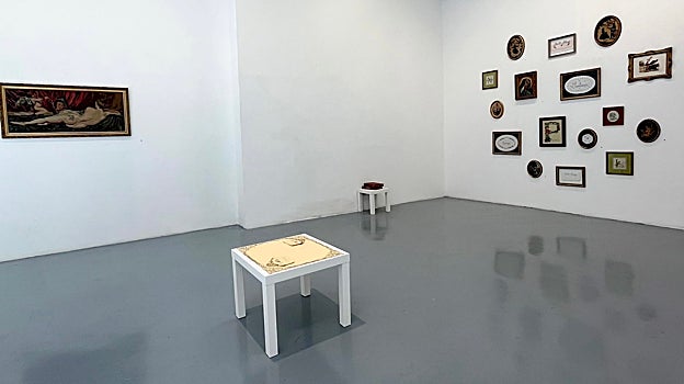 Detalle del montaje de 'Plumarium Opus' en la galería T20