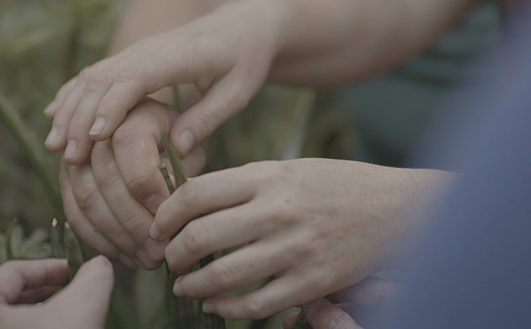 Imagen principal - Hay que buscar a Diego del Pozo Barriuso en Adora Calvo (arriba). Alberto García-Álix dialoga con Gutiérrez Solana en Leandro Navarro. Manuel Gil, nuevo 'descubrimiento' de José de la Mano (sobre estas líneas)