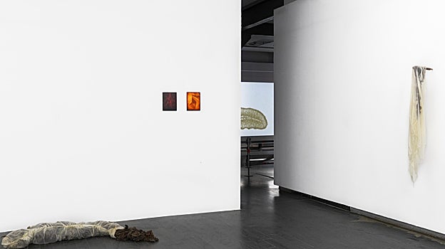 'Un Lago de Jade Verde', con Daniel Steegman. Proyecto en CentroCentro (2022)