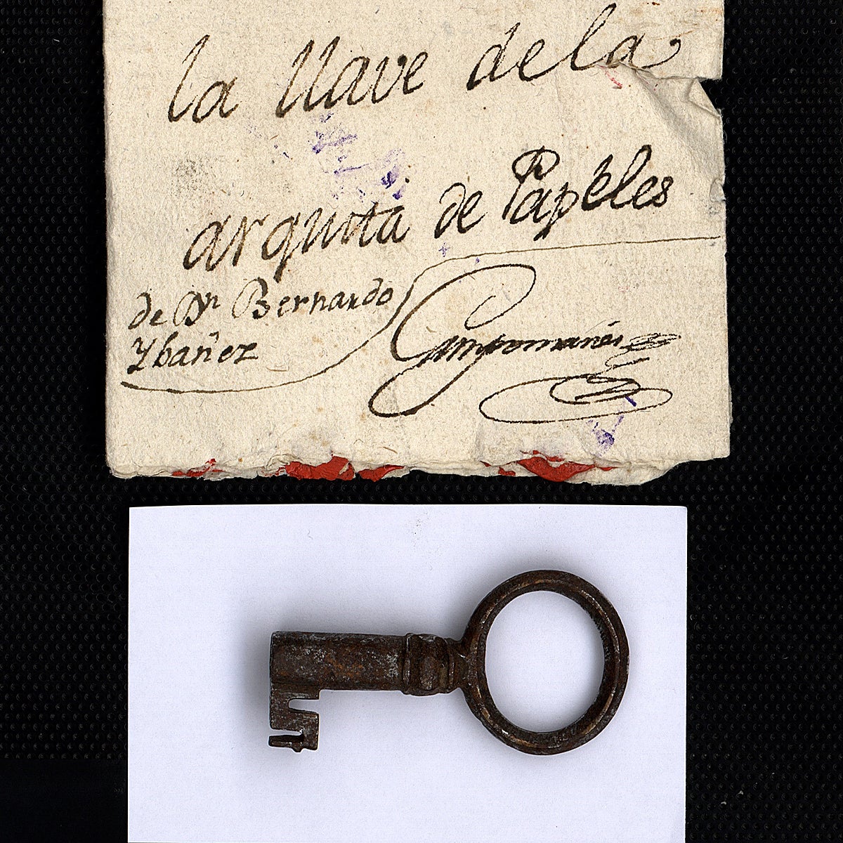 Tesoros insólitos entre legajos: desde el colmillo de un príncipe a gelatinas de huesos para alimentar a soldados