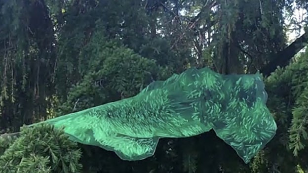 Fragmento de uno de los vídeos de la extremeña