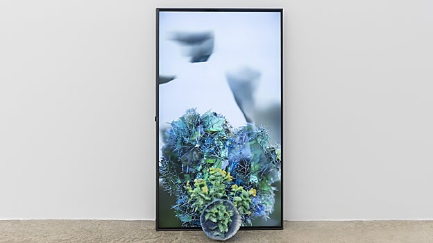 Vídeo de la serie  'The Garden I Will Never Get To Have' en Tuesday to Friday