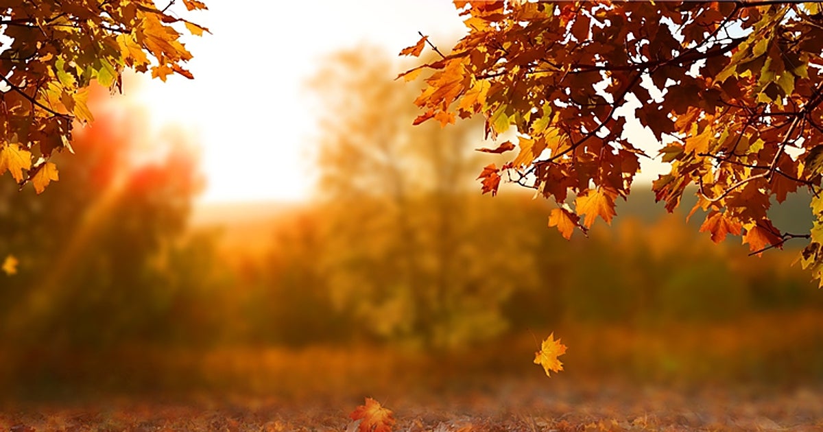 Mientras la vida parezca eterna