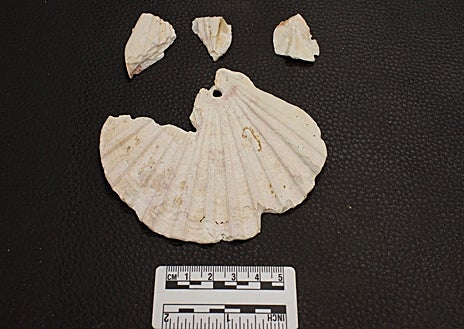 Imagen secundaria 1 - Las tumbas más antiguas de Santiago de Compostela revelan los orígenes de sus primeros habitantes