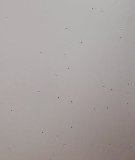 Imagen secundaria 2 - En la imagen de arriba, detalle de los daños en un vidrio de Laurent por la humedad excesiva, que supera el 50 por ciento recomendado. En la tercera imagen, una plaga de moscas en los depósitos del IPCE