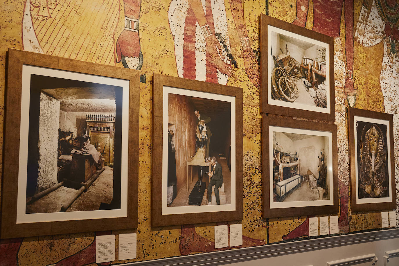 Fotografías de Harry Burton del hallazgo de la tumba de Tutankamón expuestas en el renovado Gabinete del duque de Alba